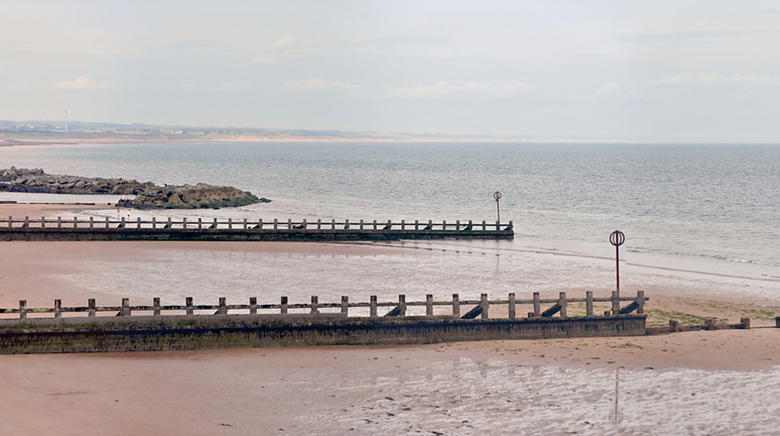 landscaped view of the beach